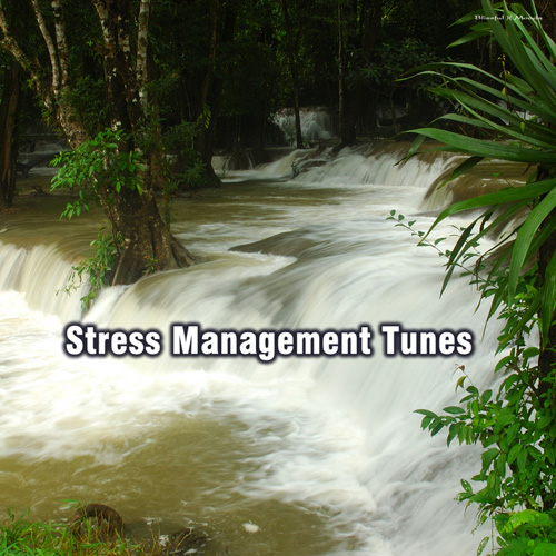 Stress Management Tunes (2012)