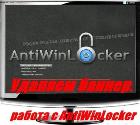  :   AntiWinLocker (2011)