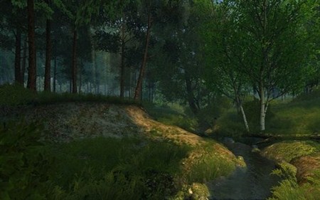 Summer Forest 3D Screensaver 1.0.0.1.