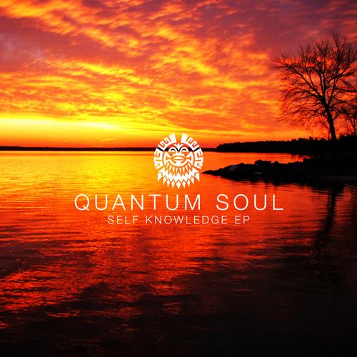 Quantum Soul - Self Knowledge EP 8282ed6b69c5da487d55d75fdadb119f