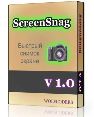 ScreenSnag 1.0.0.4