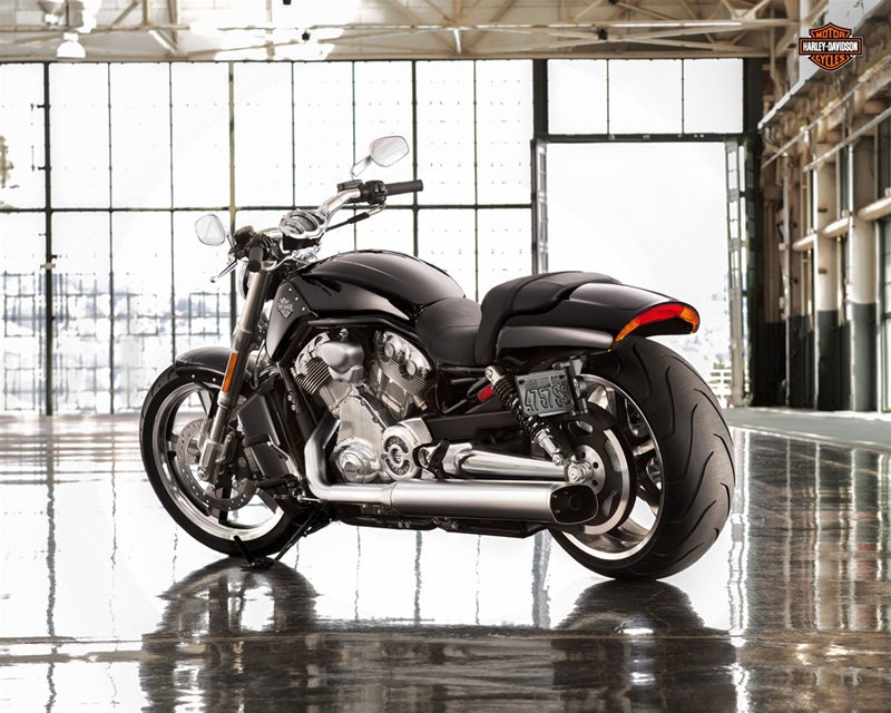 Мотоциклы Harley-Davidson Night Rod Special и V-Rod Muscle 2013
