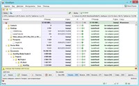 GoodSync Pro 9.3.5.3 ML/RUS